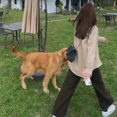 我们的故事2